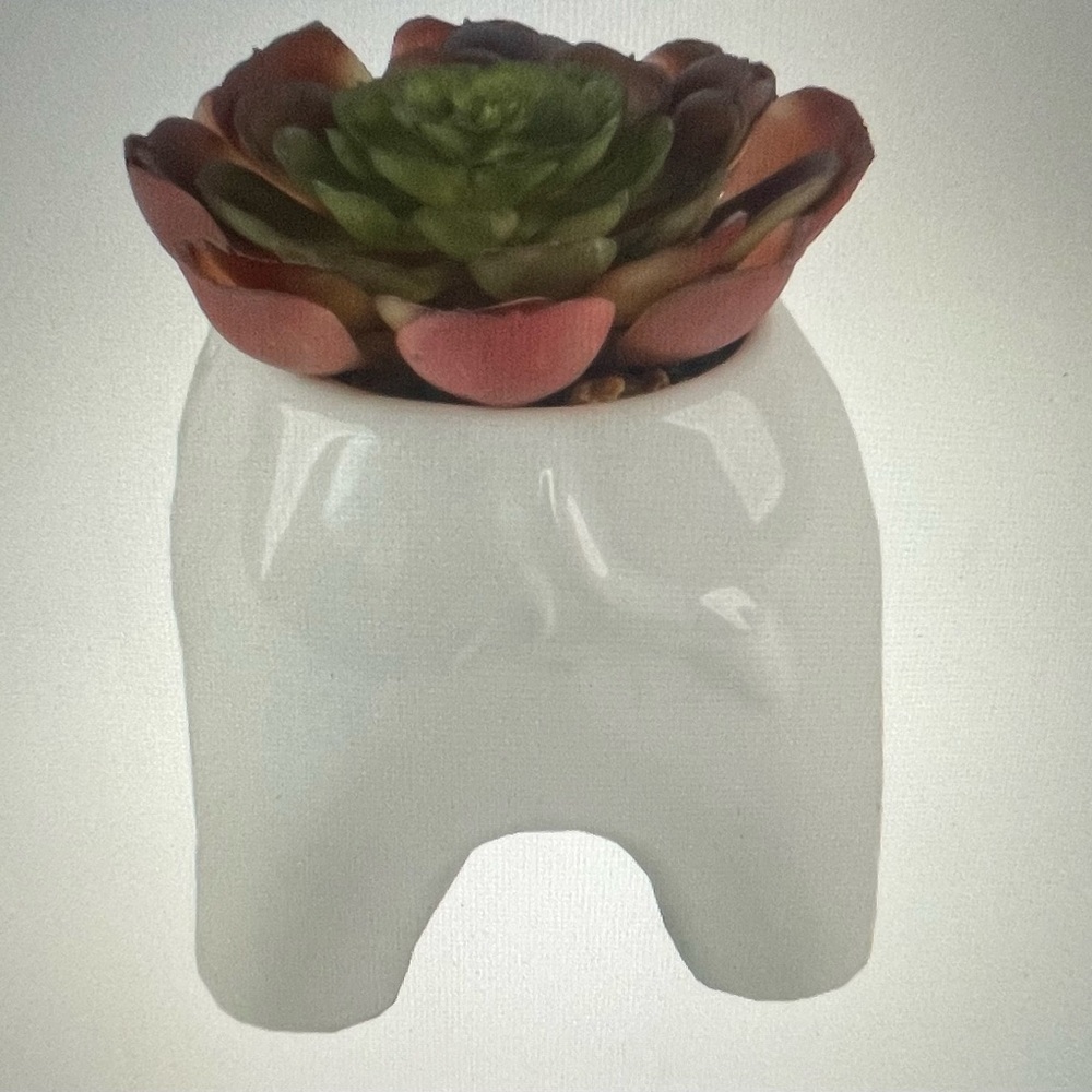 Artificial faux succulent plant - Picture 6 of 6